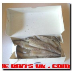 Squid (1lb Box Californian loligo) Squid (1lb Box Californian loligo)